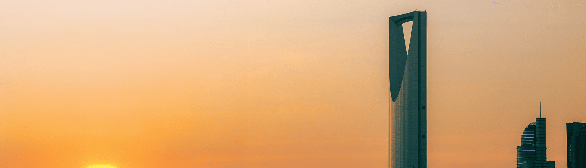 المملكة العربية السعودية الدولية